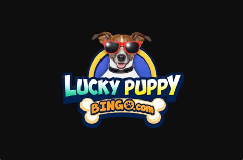 Lucky puppy bingo casino login